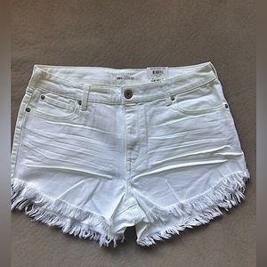 INC Shorts